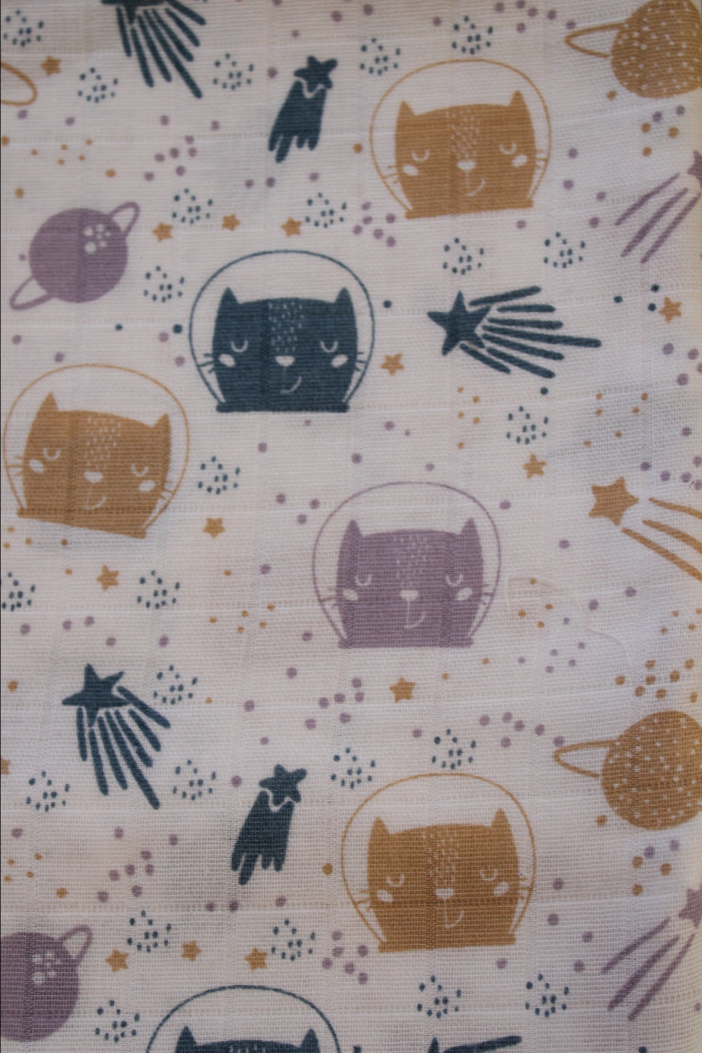 Space kitty