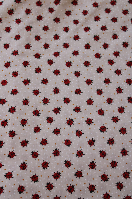 Ladybug sleep sack